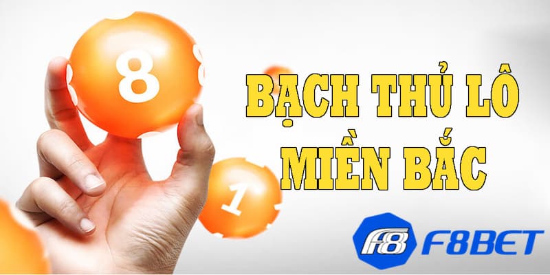 Khái niệm bạch thủ lô miền Bắc