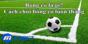 Bóng cỏ là gì?