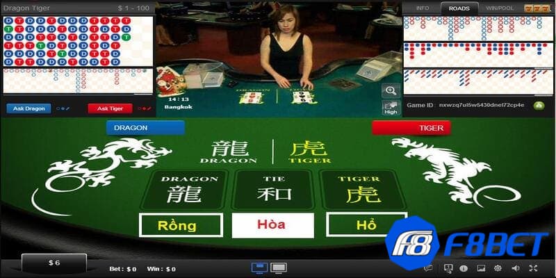 Quy tắc khi phân tích cách soi cầu rồng hổ