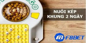 Giải thích lô kép nuôi khung 2 ngày là gì?