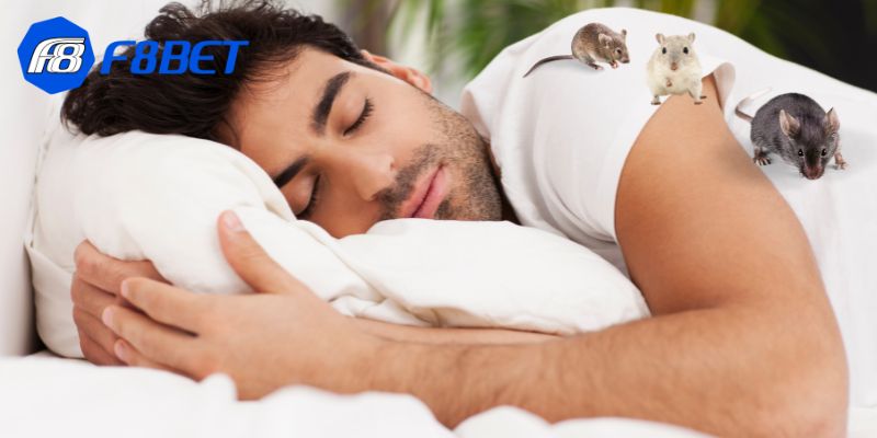 Nằm mơ thấy chuột có thể là dấu hiệu của những căng thẳng hoặc cảm giác bị xâm phạm trong cuộc sống