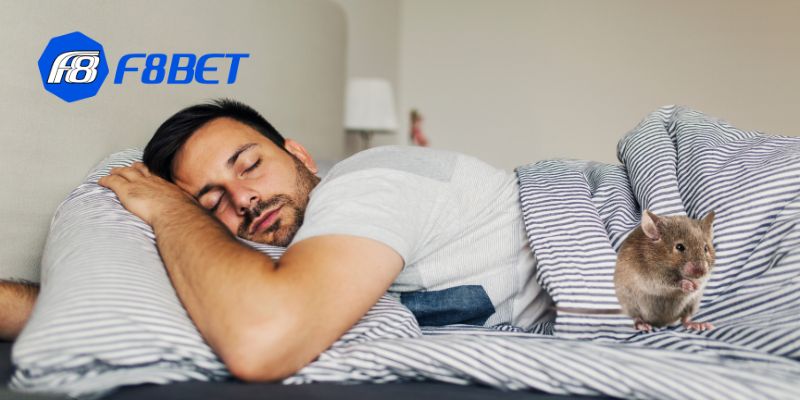Nằm mơ thấy chuột không chỉ là một giấc mơ bình thường mà còn có thể mang theo một thông điệp sâu sắc