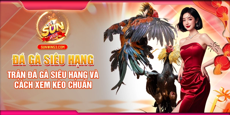 da-ga-sieu-hang-tran-da-ga-sieu-hang-va-cach-xem-keo-chuan