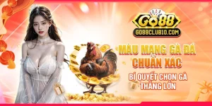 màu mạng gà đá