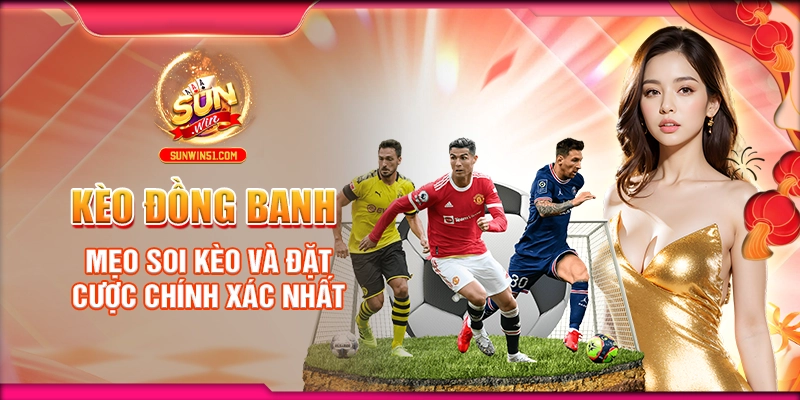 keo-dong-banh-meo-soi-keo-va-dat-cuoc-chinh-xac-nhat