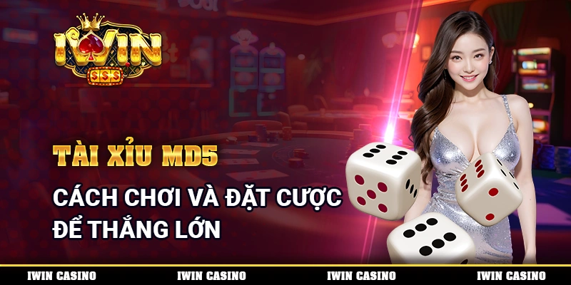Tài Xỉu MD5 - Cách Chơi Và Đặt Cược Để Thắng Lớn Mỗi Ngày